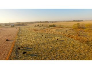 Property photo 40 - LAND AUCTION - 664+/- ACRES OFFERED IN 17 TRACTS IN CASS CO., NEBRASKA